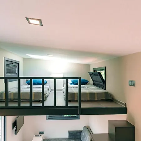 Yomra - 3 1 Forest *