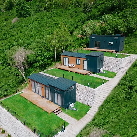 Yomra - 3 1 Forest * Trabzon